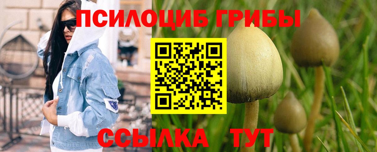 Псилоцибиновые грибы мухоморы Рузаевка